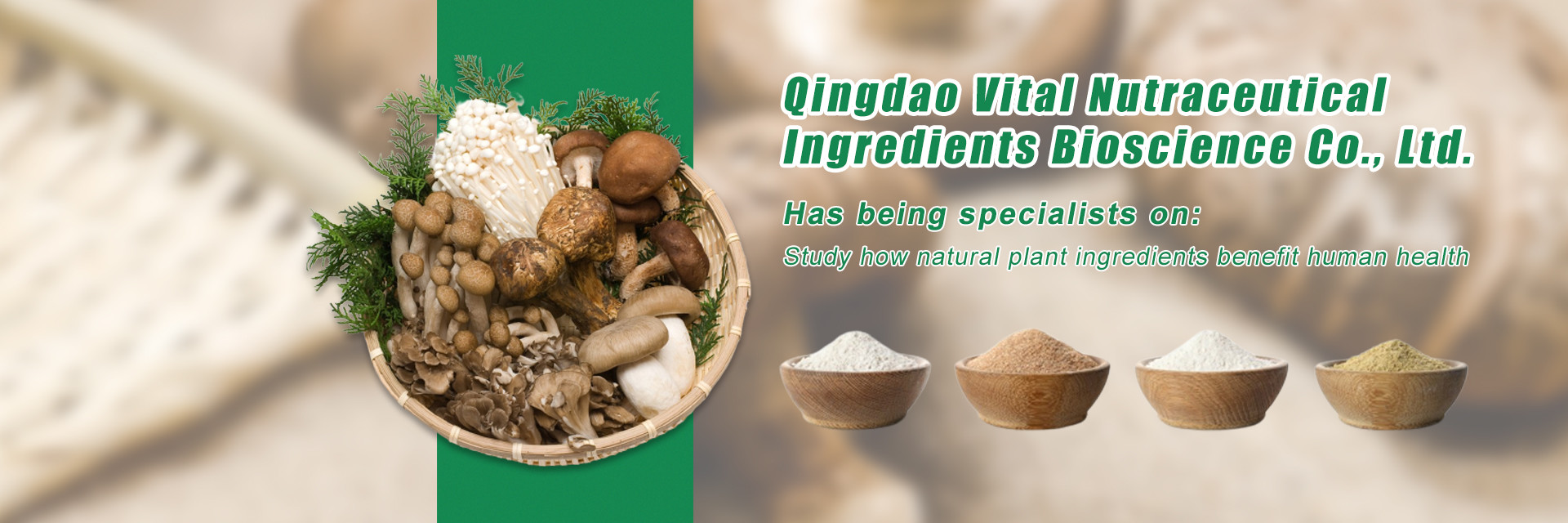 Qualität Pflanzengewächsextrakt usine